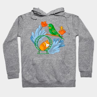 Hamster Bird Hand Drawn Hoodie